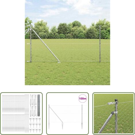 Valla exterior -  Poste de Valla Plateado 100 x 1,4 m (malla de 50 mm) Acero