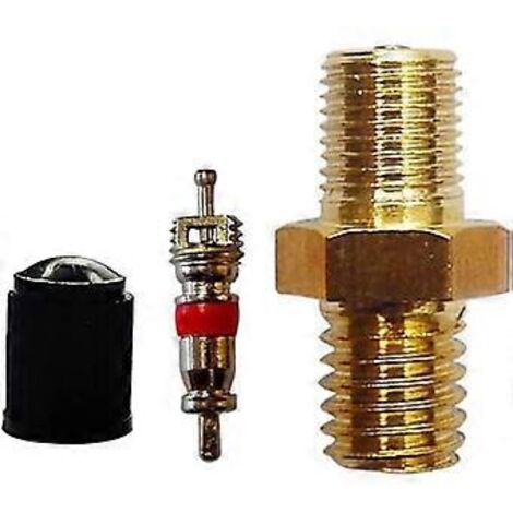 Valve à vis M8x1 en laiton, pour compresseur d'air, réservoir de remplissage, embout hexagonal, valve de pneu, adaptateur de valve avec joint torique, valve à visser