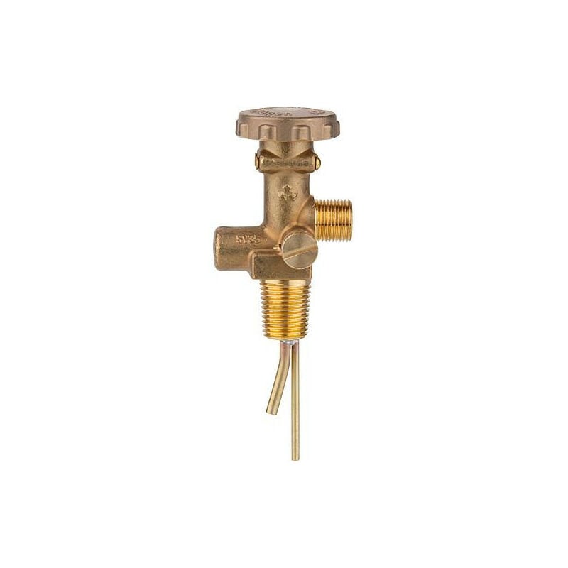 Banyo - Valve de bouteille gaz de rechange pour petite bouteille propane