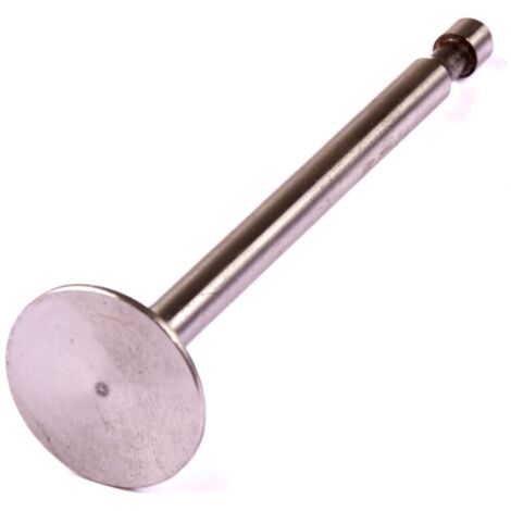 Valve de moteur de tondeuse à gazon BRIGGS & STRATTON d'origine 261233