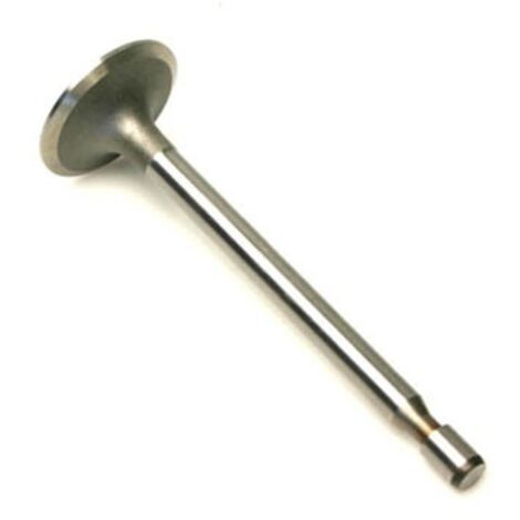 Valve de moteur de tondeuse à gazon d'origine BRIGGS & STRATTON 212004