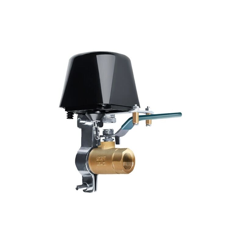 Contrôleur de valve intelligente WiFi, interrupteur d'arrosage intelligent, télécommande sans fil, fonction minuterie