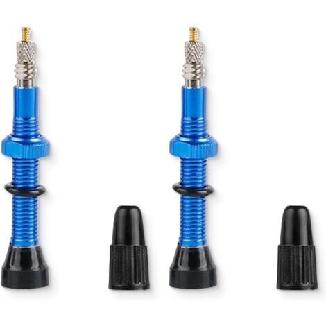 Valve Tubeless VTT 60mm, 2 Pièces Valves sans Chambre à Air 60mm Valves Tubeless Tige de Valve VTT Valves de Vélo pour Pneus de Vélo, bleu