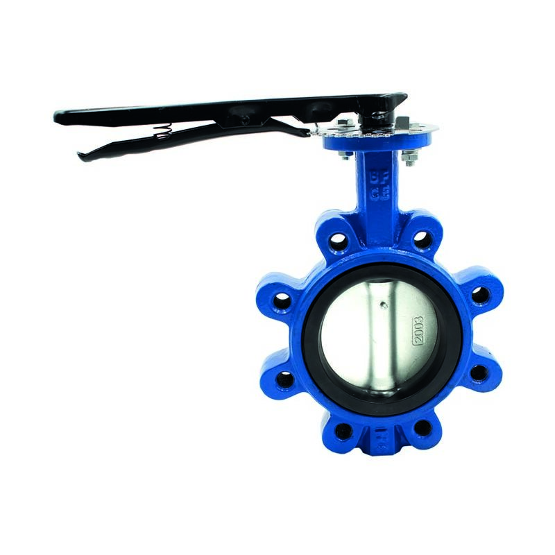 Vanne papillon a fente filetee pour l'eau dn 125 de