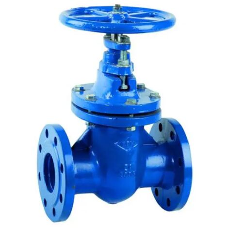 Valvola a saracinesca in ghisa a corpo ovale serie gvf-45 pn16 dn100 AMBRA WATER