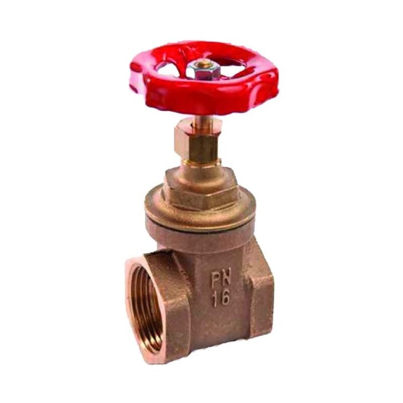 Valvola a saracinesca in ottone pn16 da 21/2 FF