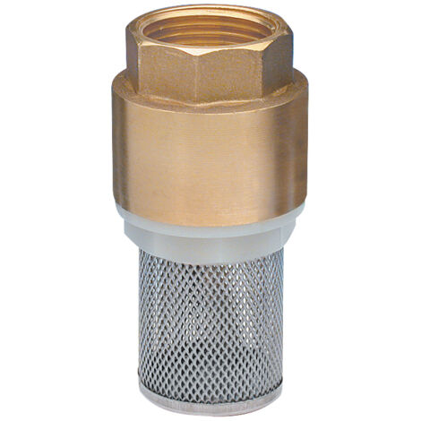 Valvola anti-ritorno con filtro in acciaio inox F20x27 NOYON & THIEBAULT