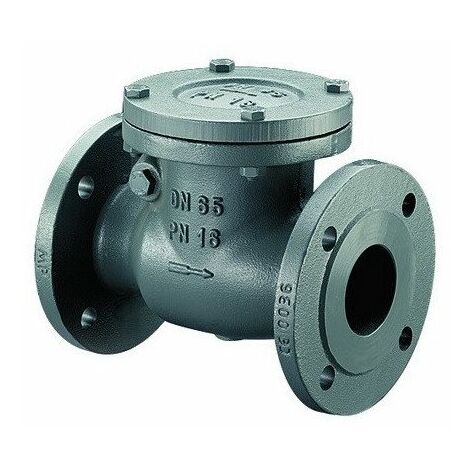 VALVOLA DI RITEGNO A BATTENTE PN16 DN40