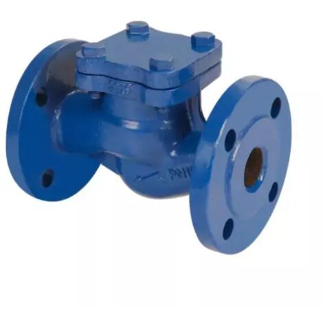 Valvola di ritegno a clapet orizzontale in ghisa serie scv-50 pn16 dn100 AMBRA WATER