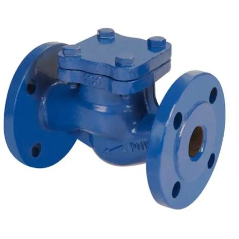 Valvola di ritegno a clapet orizzontale in ghisa serie scv-50 pn16 dn50 AMBRA WATER
