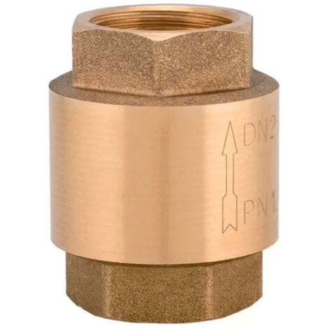 Valvola Di Ritegno A Molla Con Inserto In Ottone 1"