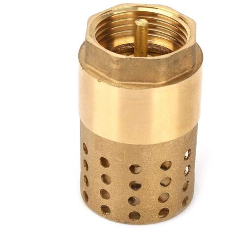 Valvola di ritegno a pedale in ottone, valvola di ritegno a pedale unidirezionale in ottone DN25 con filettatura femmina per pompa dell'acqua con filtro per scaldabagni elettrici