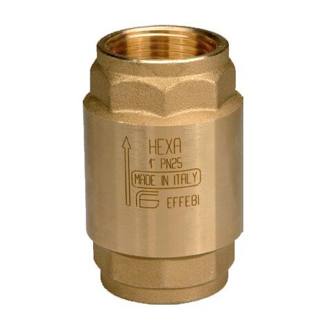 Valvola di ritegno HEXA ø4" FF 2301G412 - -  EFFEBI - -