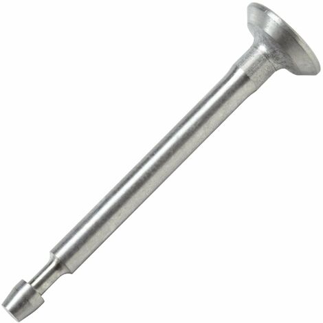 Valvola di scarico ORIGINALE BRIGGS&STRATTON motore trattorino 100200 555077