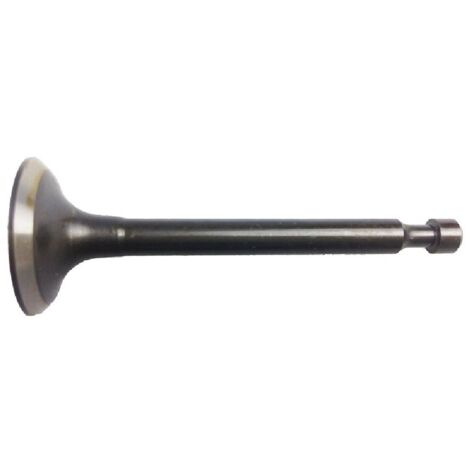 BASICPARTS VALVULA ADMIS.GX270