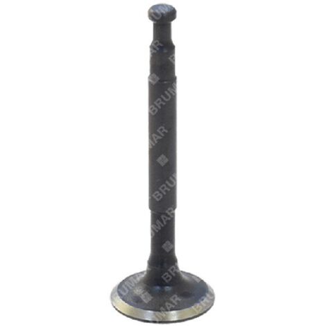 Válvula de drenaje para motobombas DUCAR - 038569