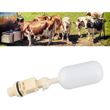 Válvula de flotador automática G1/2 para bebederos de caballos y ganado.