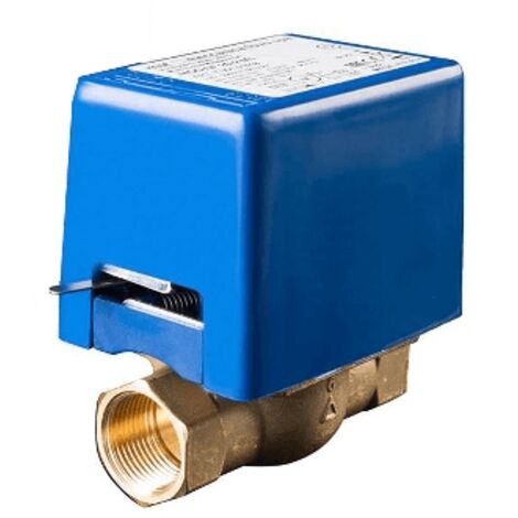 Válvula de zona de 2 vías con microinterruptor auxiliar 1 Gas F.