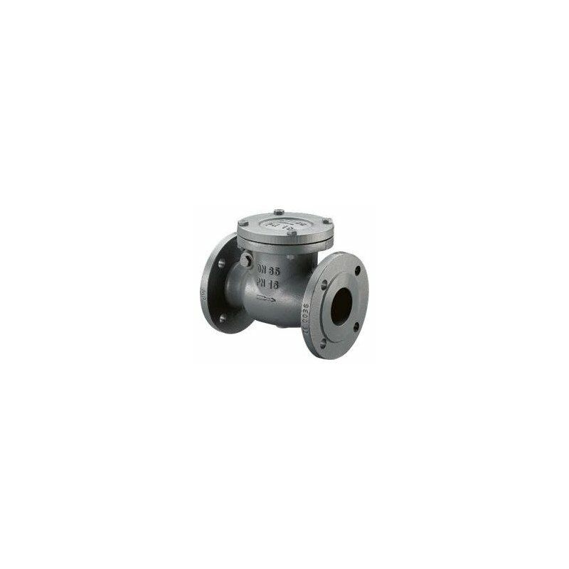 

Valvula Retencion Oscilante Pn16 Dn200
