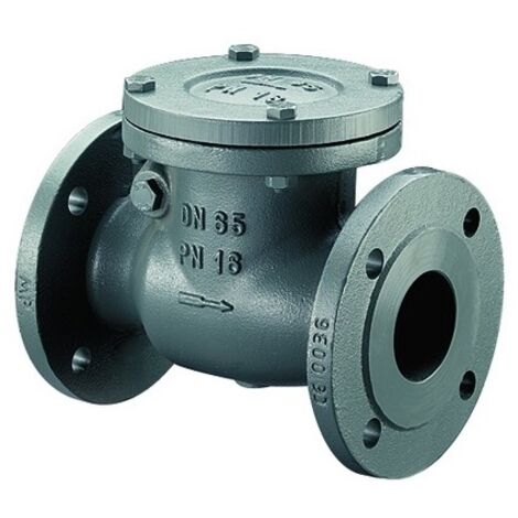 VALVULA RETENCION OSCILANTE PN16 DN50