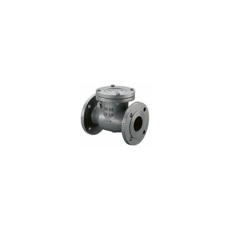 

Valvula Retencion Oscilante Pn16 Dn80
