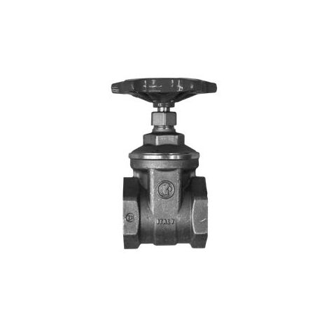 Vanne 1"1/4 (33/42) fonte pour pompe vide-cave SANISUB - SFA