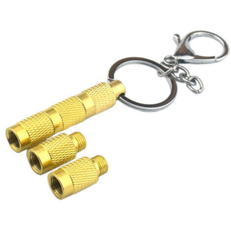 Vanne de Purge Automatique, Portable Valve de Purge de Pneu avec Porte-clés 4 en 1 Vanne de Purge d'air Automatique en Cuivre Pur pour Le Dégonflage de Divers Pneus de Voiture,Or