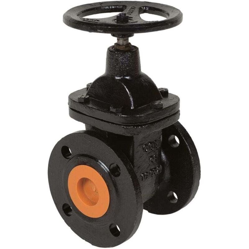 Vanne de verouillage dn 65 fonte pour sanipump VX65 SFA