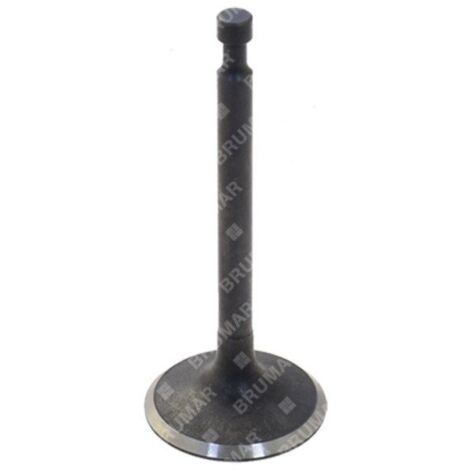 Vanne de vidange pour motogénérateurs DUCAR - 038221