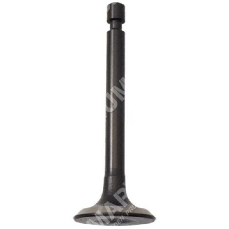Vanne de vidange pour motopompes DUCAR - 049581