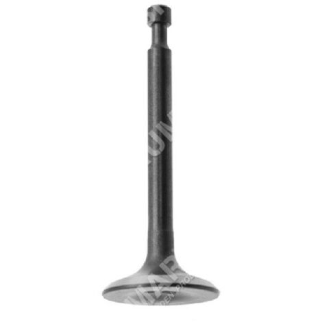 Vanne de vidange pour motopompes MAORI - 039143