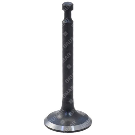 Vanne de vidange pour tondeuse à gazon BLX - 058316