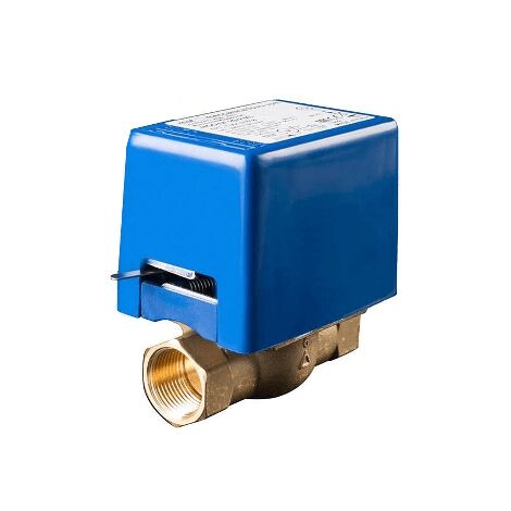 Vanne de zone à 2 voies avec micro-interrupteur auxiliaire 3/4 Gaz F.