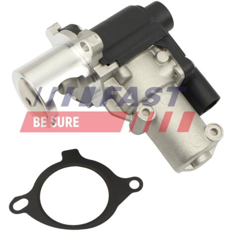 Vanne EGR FT10064 rapide