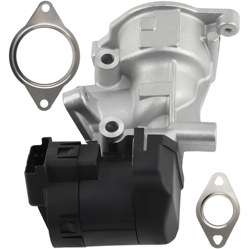 Vanne egr Pour Peugeot 307 308 407 508 607 807 5008 expert 2.0 hdi 1618GZ