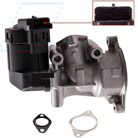 VANNE EGR Pour Peugeot 307 308 407 508 607 807 5008 EXPERT 2.0 HDI 1618GZ