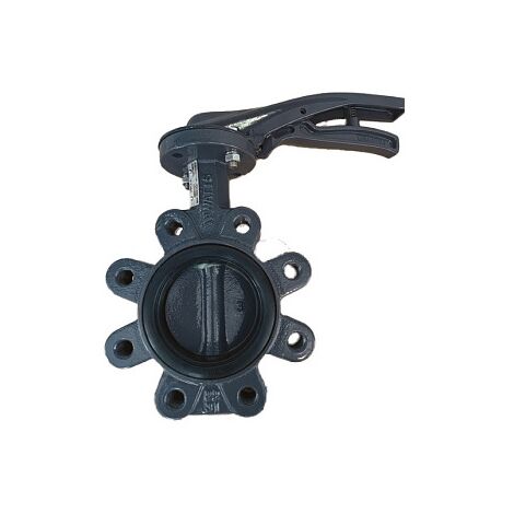 Vanne papillon XYLIA2 à oreilles taraudées - 150 mm - 16 bar - WATTS INDUSTRIES