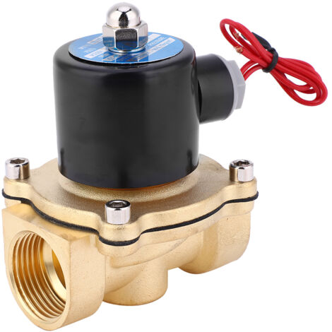 Vanne Solénoïde en Laiton 1 Pouce pour Air Eau Huile - Normalement Fermée 2W250-25 AC220V/DC24V/DC12V