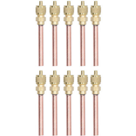 Vannes d'accès de remplissage de cvc 1/4SAE, 10 pièces, clapet anti-retour en laiton pour climatiseur R22 R12 R134.