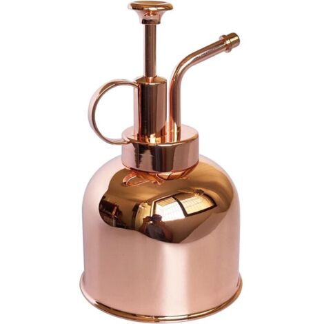 Vaporisateur en acier inoxydable (or rose, 300 ml) - Petit arrosoir - Outils de jardinage modernes pour plantes d'intérieur en pot - Arrosage et pulvérisation