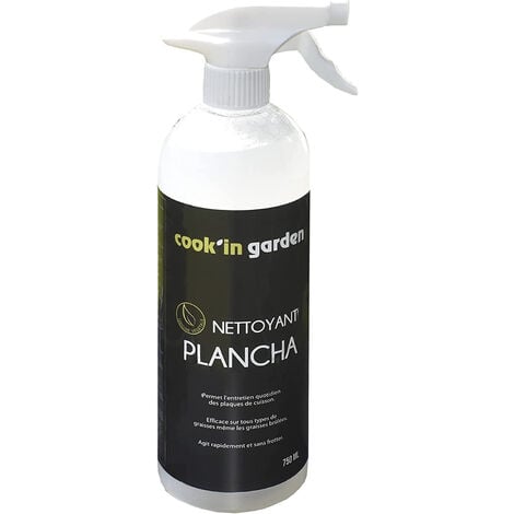 Nettoyant plancha pierre d'Argent 300 g