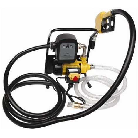 Varan Motors - NEDLP-19 Pompa carburante/gasolio, pompa di trasferimento diesel 230v 40l/min con valvola di non ritorno e filtro