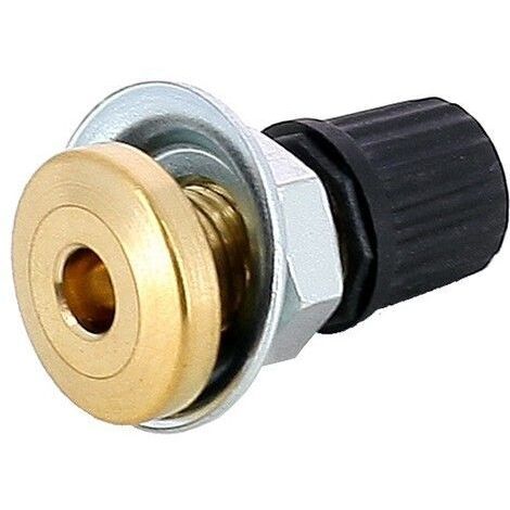 Valve de gonflage 5 à 100 L – Accessoire pour réservoir à vessie – Diamètre 21 mm pour maintien de pression – Compatible avec Varem