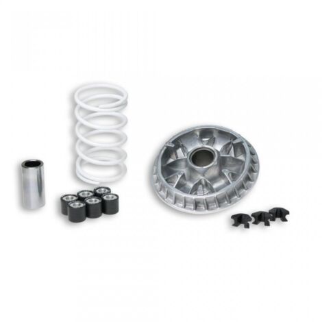 Variateur Malossi pour Scooter Malaguti 500 Spidermax Gt 2004