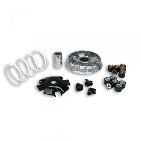 Variateur Malossi pour Scooter Piaggio 125 Beverly Multivar 2000