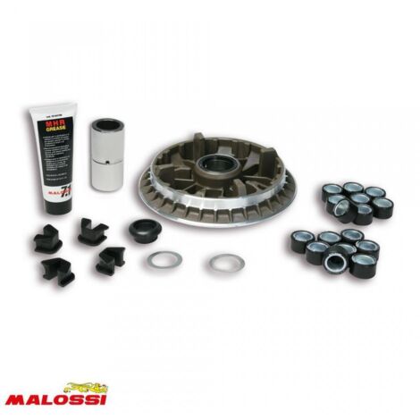 Variateur Malossi pour Scooter Yamaha 500 Tmax 2004 à 2011