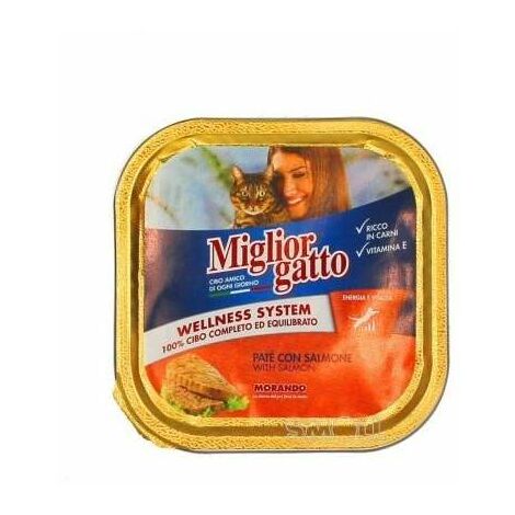 Vaschetta di patè con Salmone Gr. 100