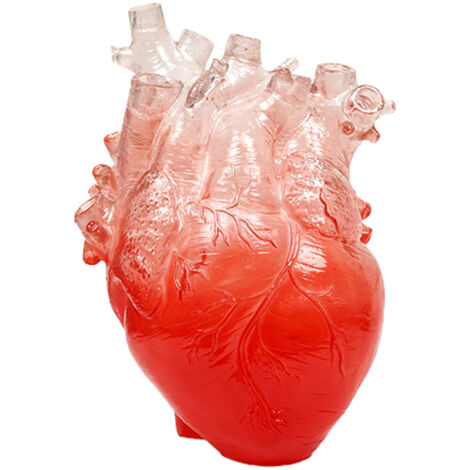 Vase Anatomical Heart Shape - Handcrafted Premium Resin - Transparent / Blue / Purple / Red - Three Sizes Available - Perfect for Office or Home Decor