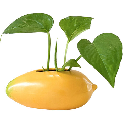Vase Ceramique Hydroponie Mangue Decoration Bureau Living Stabilisant Emotion ManoMango