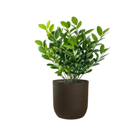 Vase cylindrique en résine Raffaello Marrone 35x34cm pour plantes d'intérieur et d'extérieur